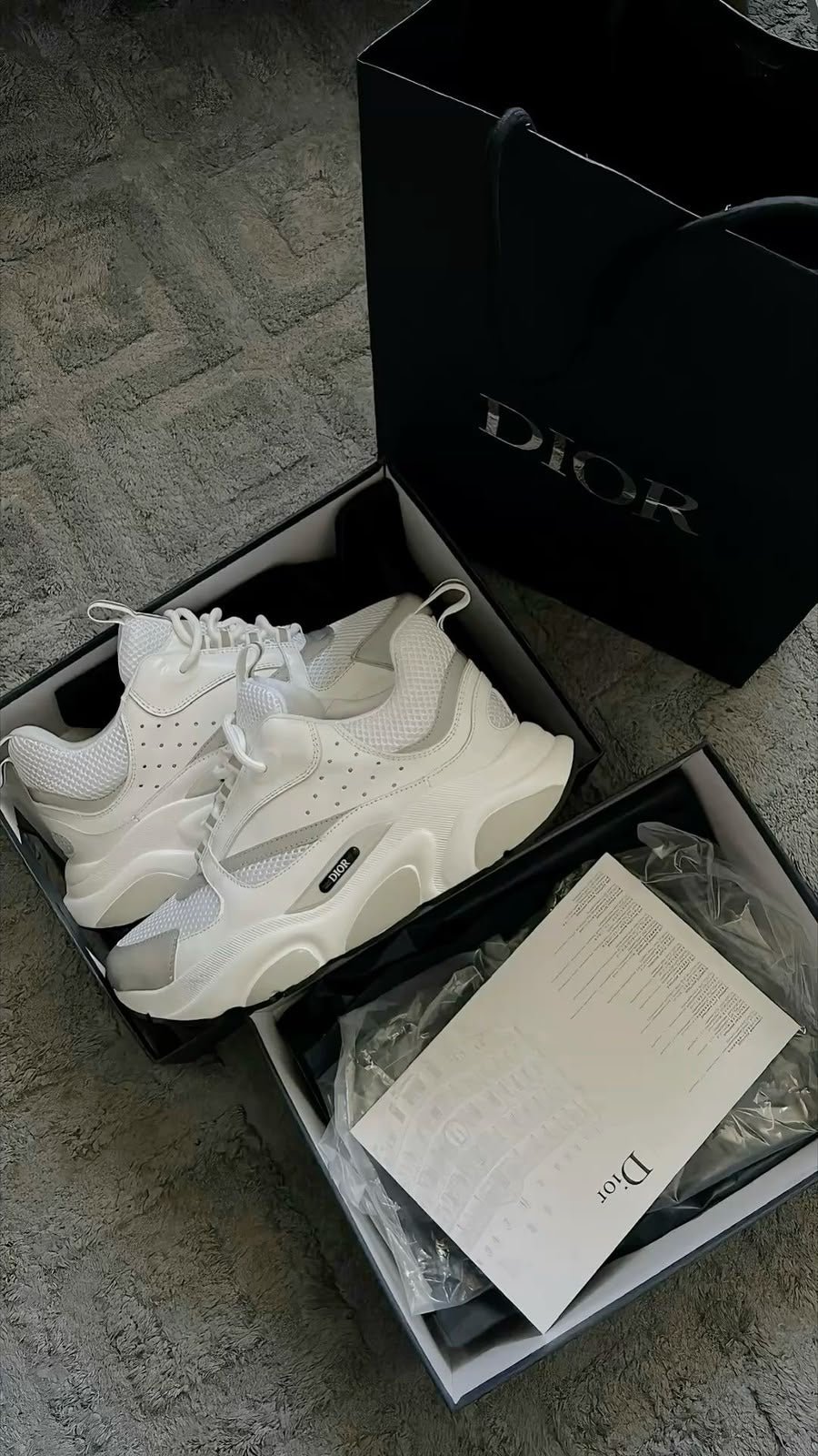 DIOR B22 WHITE